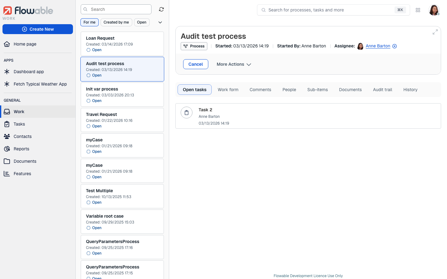 42 work process details panel areas