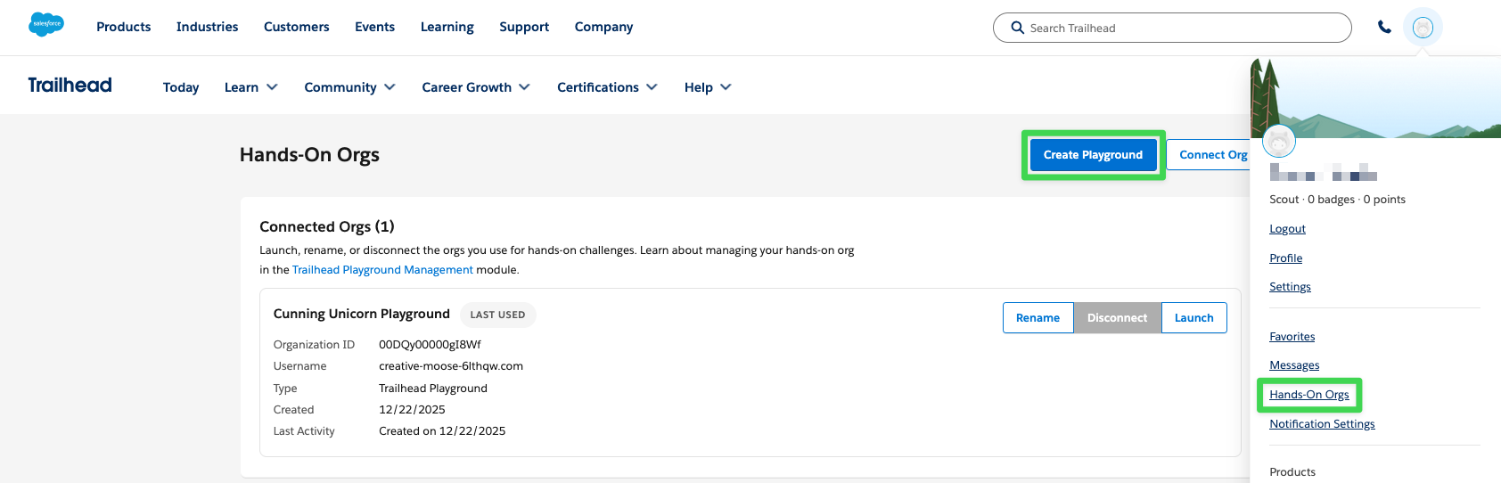 Salesforce Create Playground