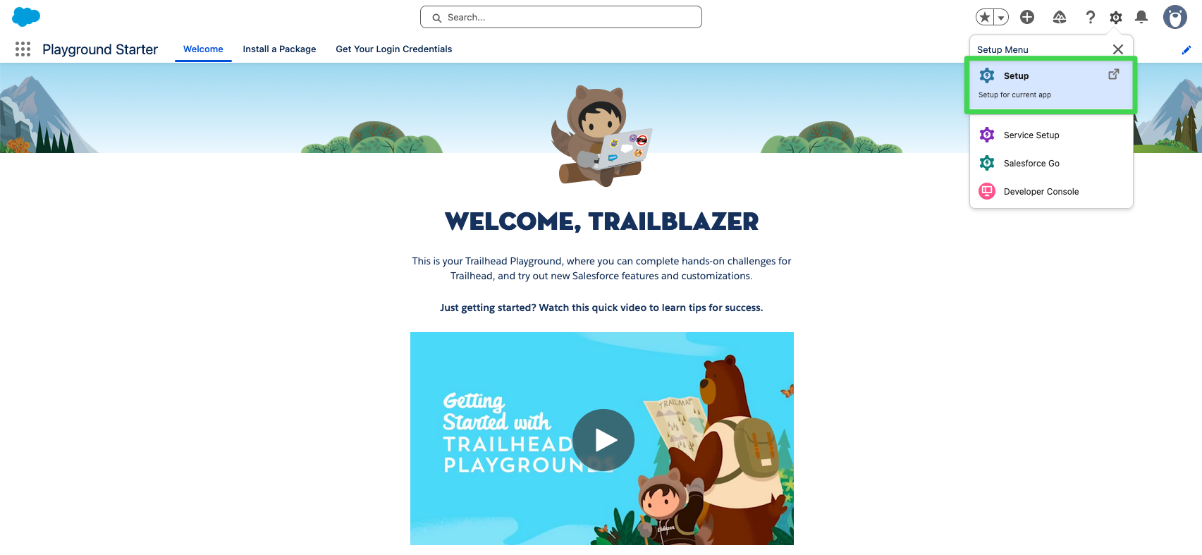 Salesforce Playground with Setup option
